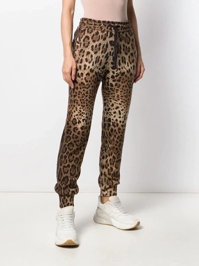Shop Dolce & Gabbana Cashmere Leopard Print Track Pants In Brown