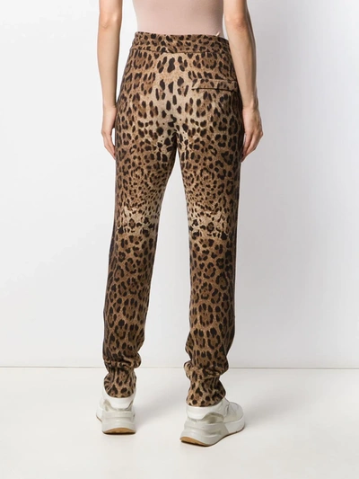 Shop Dolce & Gabbana Cashmere Leopard Print Track Pants In Brown