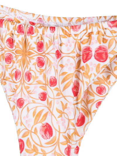 Rebecca Vallance Catania Floral-print Bikini Briefs In White