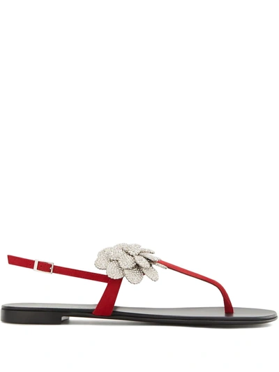 Shop Giuseppe Zanotti Phoebe Flat Sandals In Red