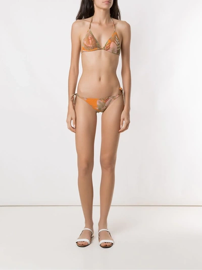 Shop Amir Slama Printed Triangle Bikini Set In Neutrals