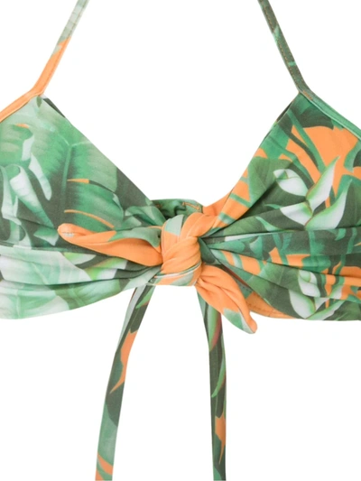 Shop Amir Slama Floral Print Bikini Set In Green