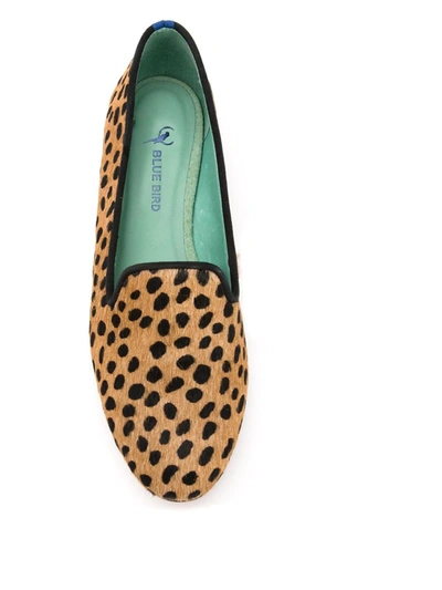 Shop Blue Bird Shoes Animal Print Loafers In Neutrals