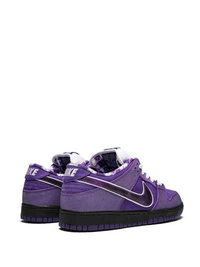 Shop Nike X Concepts Sb Dunk Low Pro Og Qs "purple Lobster" Sneakers