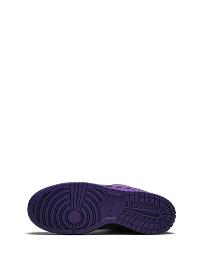 Shop Nike X Concepts Sb Dunk Low Pro Og Qs "purple Lobster" Sneakers