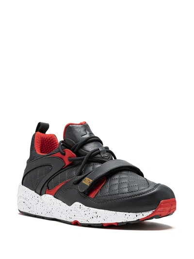 Puma Bog X Hs X Rf Sneakers In Blue