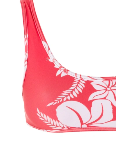 Shop Amir Slama Floral-print Bikini Set In Red