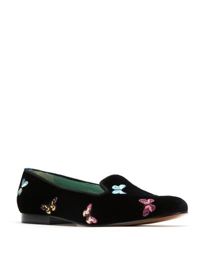 Shop Blue Bird Shoes Velvet Borboleta Loafers In Black