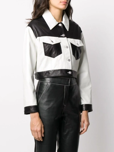 Shop Giuseppe Zanotti Cropped Colour Block Jacket In White