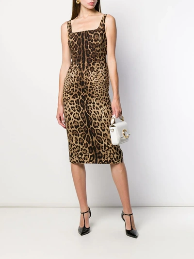 Shop Dolce & Gabbana Leopard-print Midi Dress In Black