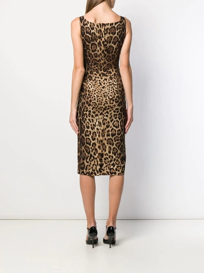 Shop Dolce & Gabbana Leopard-print Midi Dress In Black