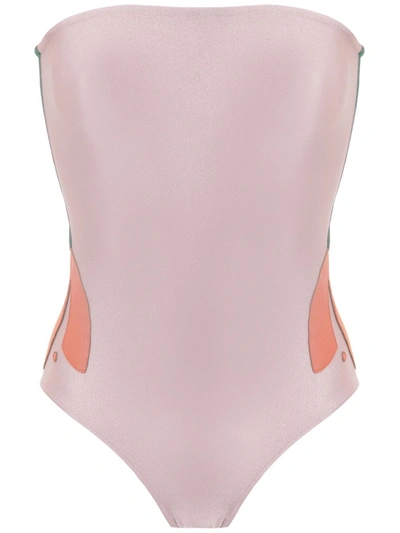 Shop Adriana Degreas Tulipa Appliqué Swimsuit In Purple