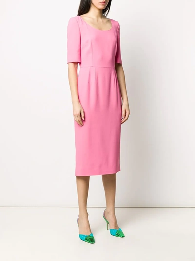 Shop Dolce & Gabbana Fitted Midi Dress In Pink