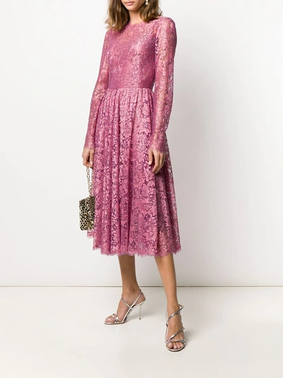 Shop Dolce & Gabbana Floral Lace Pleated Dress In Pink