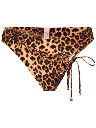 Shop Agent Provocateur Leopard Print Bikini Bottoms In Neutrals