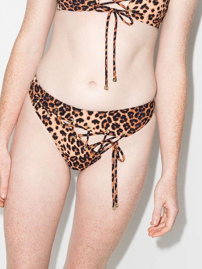 Shop Agent Provocateur Leopard Print Bikini Bottoms In Neutrals