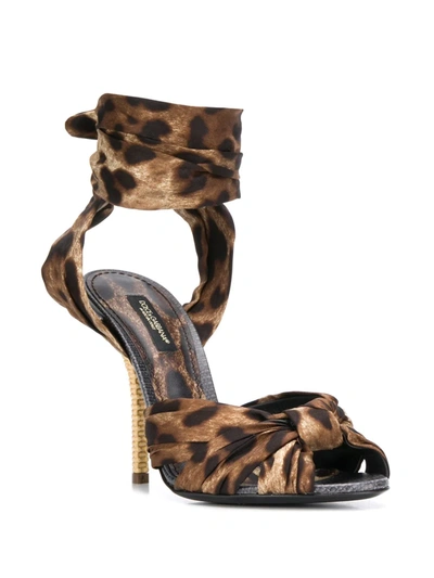 Shop Dolce & Gabbana Leopard Print Tie Fastening Sandals In Brown