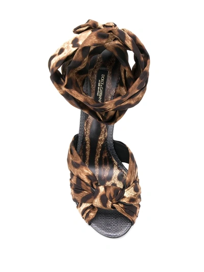 Shop Dolce & Gabbana Leopard Print Tie Fastening Sandals In Brown