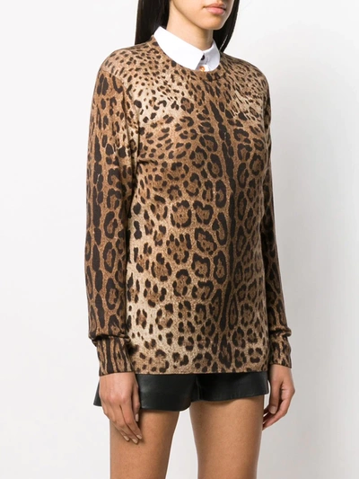 Dolce & Gabbana Leopard Print Cashmere Sweater In Brown