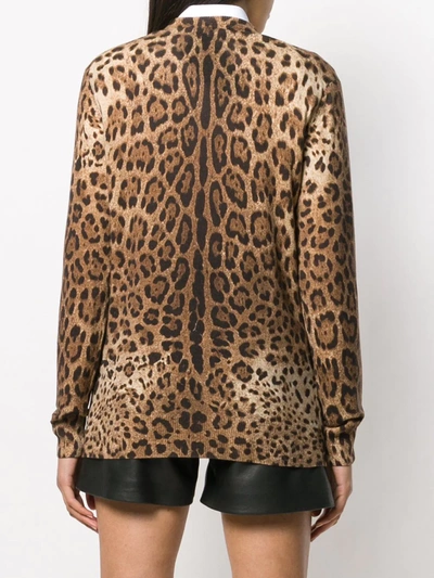 Dolce & Gabbana Leopard Print Cashmere Sweater In Brown