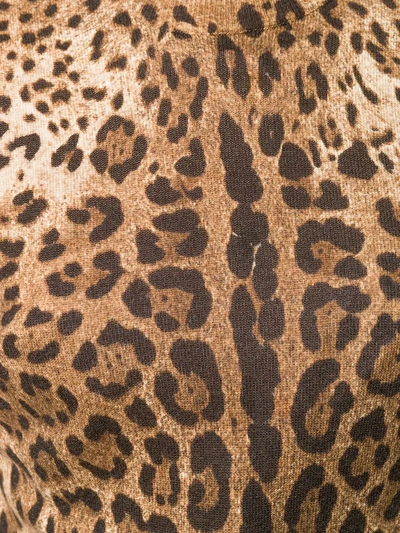 Dolce & Gabbana Leopard Print Cashmere Sweater In Brown