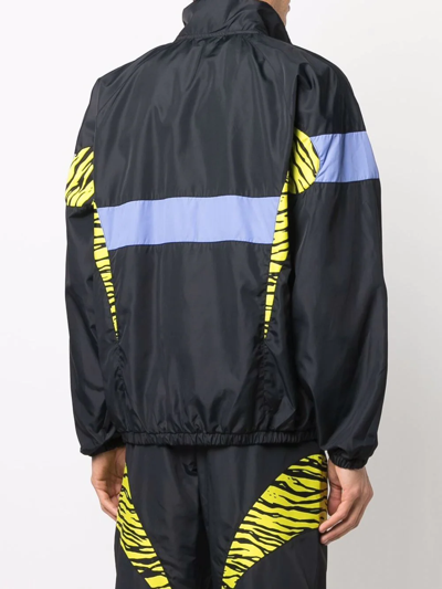 Shop Moschino Panelled Zebra Windbreaker In Black