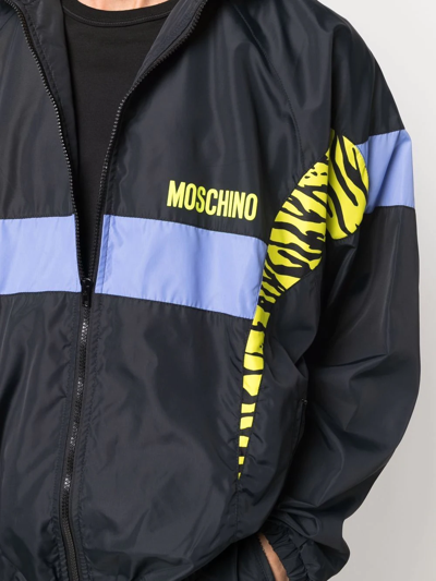 Shop Moschino Panelled Zebra Windbreaker In Black