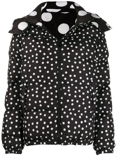 Shop Dolce & Gabbana Reversible Polka Dot Puffer Jacket In Black