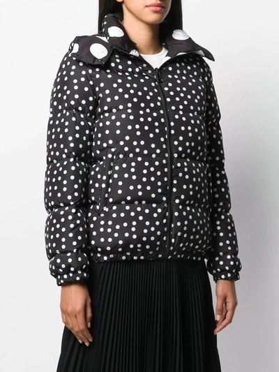 Shop Dolce & Gabbana Reversible Polka Dot Puffer Jacket In Black