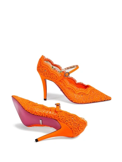 Shop Gucci Orange Virginia 95 Lace Pumps In Yellow