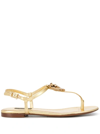 Shop Dolce & Gabbana Devotion Leather Thong Sandals In Gold