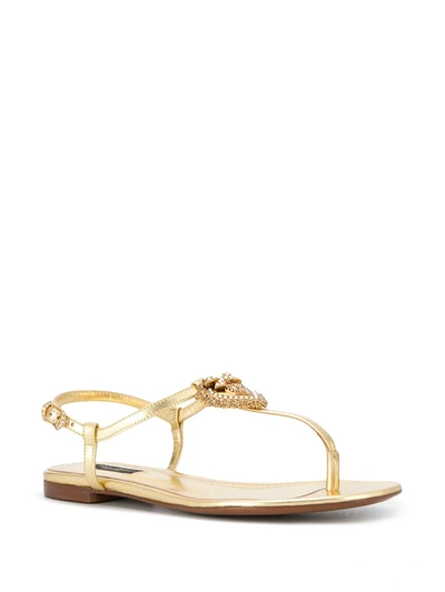 Shop Dolce & Gabbana Devotion Leather Thong Sandals In Gold