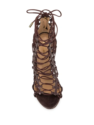 Shop Dsquared2 Strappy Lace-up Sandals In Brown