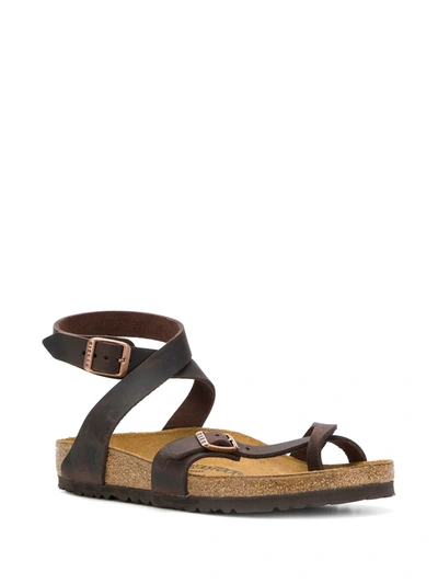 Shop Birkenstock Toe-strap Buckle Sandals In Brown