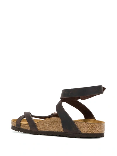 Shop Birkenstock Toe-strap Buckle Sandals In Brown