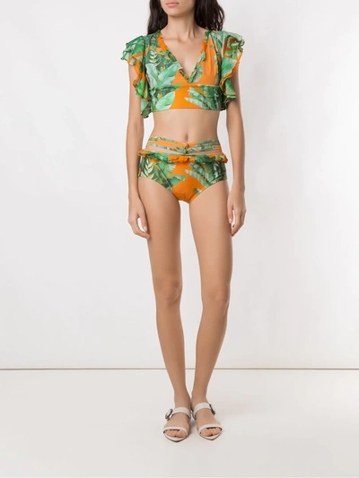 Shop Amir Slama Printed Crop Top Bikini Set In Green