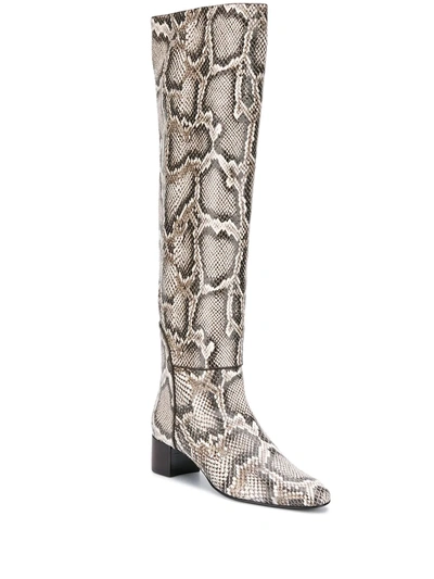 Shop Giuseppe Zanotti Doreen Snakeskin Effect Boots In Brown