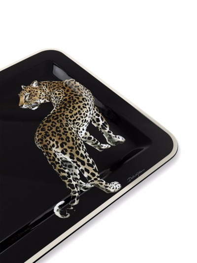 Shop Dolce & Gabbana Medium Leopard-print Wood Tray In Black