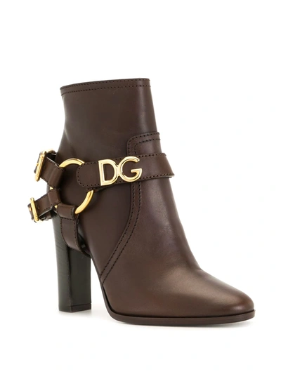 Shop Dolce & Gabbana Dg Buckled Ankle Booties In Brown