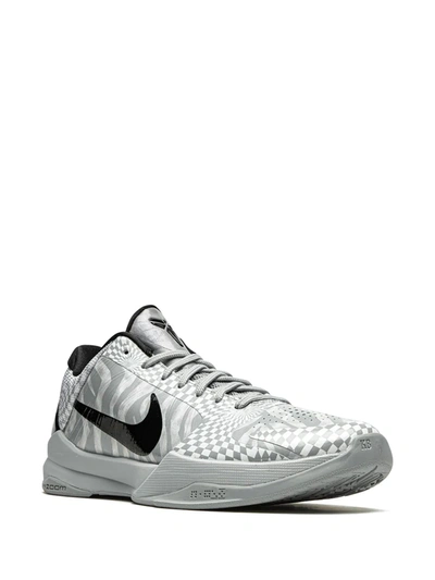 Nike Kobe 5 Protro "demar Derozan" Sneakers In Grey
