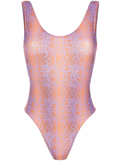 Shop Amir Slama Python Print Swimsuit In Multicolour
