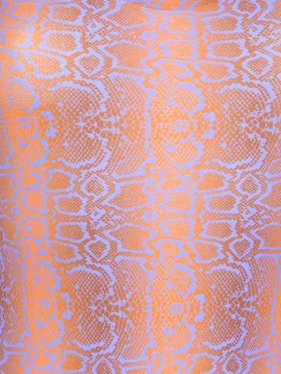 Amir Slama Python Print Swimsuit In Multicolour