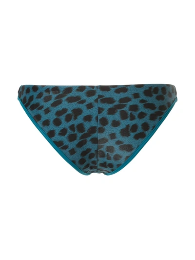 Duskii Reversible Leopard-print Bikini Bottoms In Green