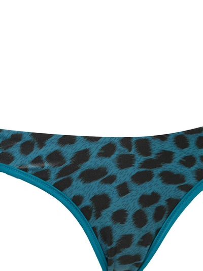 Duskii Reversible Leopard-print Bikini Bottoms In Green