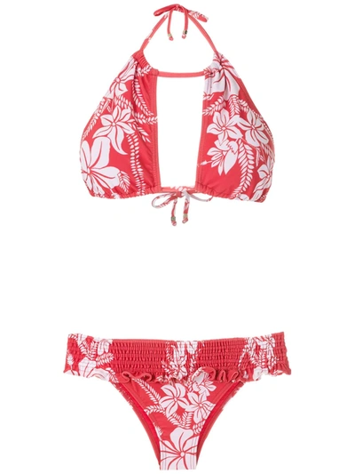 Shop Amir Slama Ruffled Floral-print Bikini Set In Red