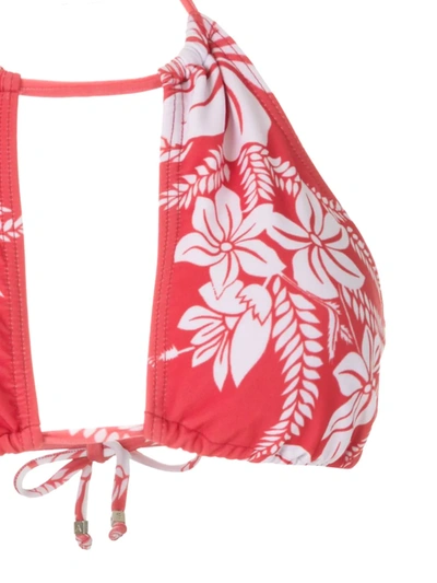 Shop Amir Slama Ruffled Floral-print Bikini Set In Red