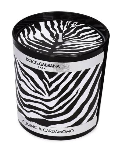 Shop Dolce & Gabbana Zebra-print Scented Candle (250g) In Schwarz