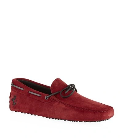 Tod's Ferrari Gommino Suede Driving Shoes In Red
