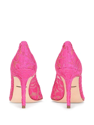 Shop Dolce & Gabbana Heart Plaque Lace Pumps In Pink