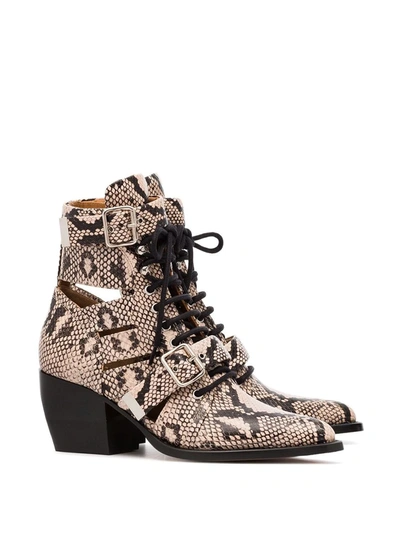 Shop Chloé Rylee 60 Leather Ankle Boots In Neutrals